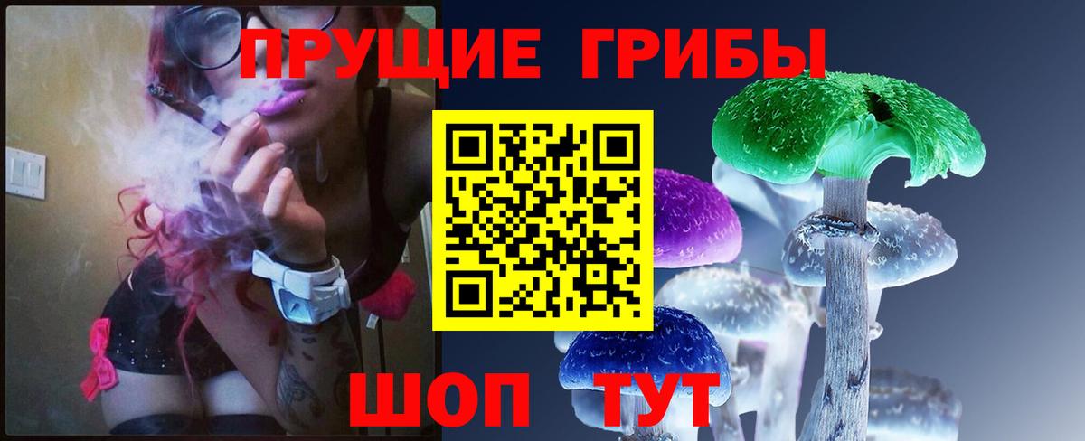 Псилоцибиновые грибы мицелий Астрахань